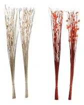 Comprar Flores Secas Vara Ramo Decoración Set X 2 Disecado Buri