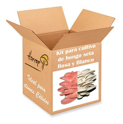 Kit Cultivo Hongo Seta Blanco Y Rosa Micelio Semilla