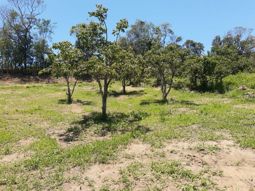 Imagem 9 de 9 de Loteamento Com Unidades De 600m2 Á Venda No Interior. G.01