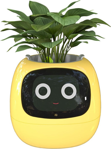 Maceta Robot Con Inteligencia Artificial Plant Ivy Amarilla