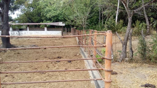Imagen 13 de 15 de Finca En El Paguey, Barinas En Venta