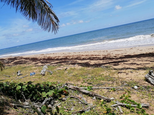 Te Vendo Excelente Terreno En El Limón De Samaná 