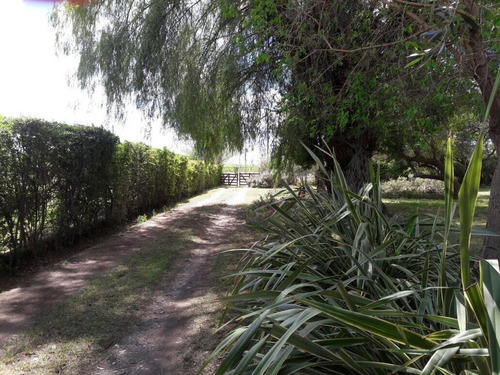 Imagen 3 de 30 de Venta - Finca - Cañada Seca Retasada