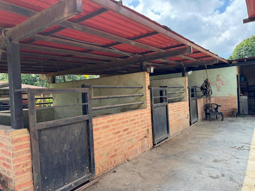 Annic Coronado Vende Casa En Las Morochas Ref. 256883