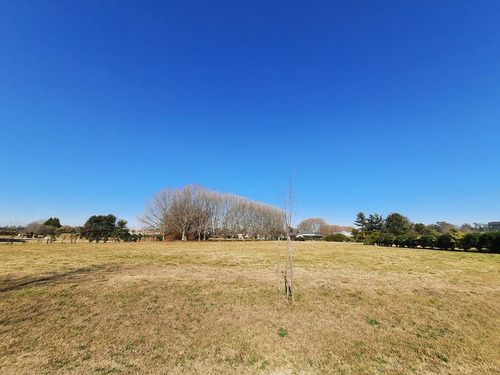 Imagen 9 de 9 de Terreno - Haras San Pablo