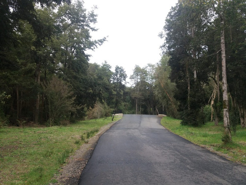 Parcela En La Reserva De Frutillar Naturaleza, Exclusivida