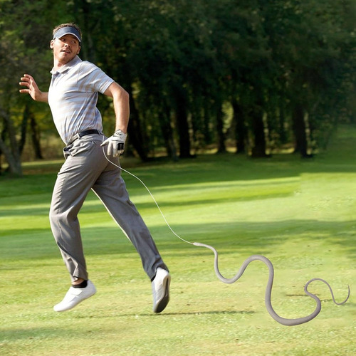 Broma De Serpiente Con Clip De Cuerda Broma De Serpiente Diy