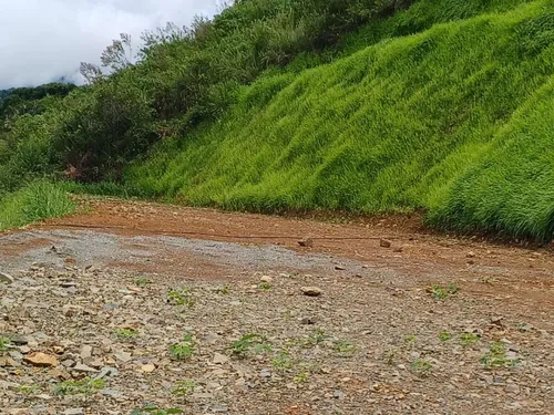Venta De Lotes Campestres En Titiribí Excelente Ubicación Y Clima (vista A Cerro Tusa) Al Lado De La Siria