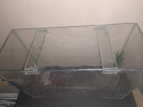 Pecera Terrario Con Accesorios 50.x 34 X 20 Ramos Mejia (Usado)