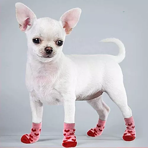 Calcetines antideslizantes para perros