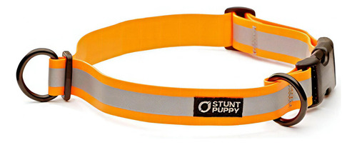 Truco Cachorro Ir Perro Glo Seco Perro Collar