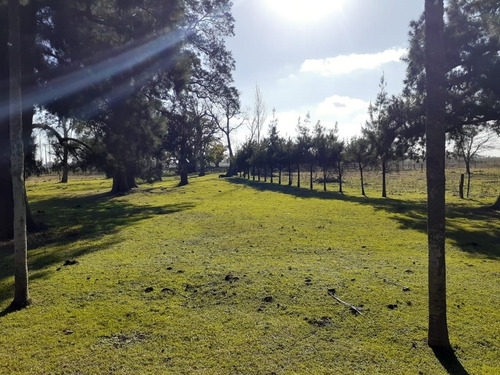 Imagen 6 de 14 de Hermoso Casco De Estancia De 9 Has Para Alquiler Temporario