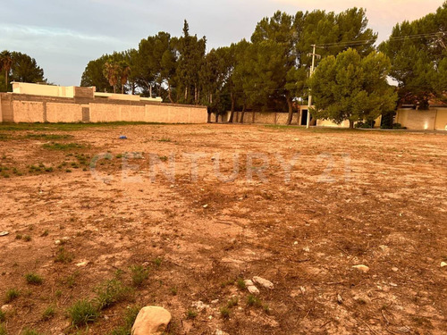 Se Vende Terreno 10,000 M2 En Eulalio Gutiérrez