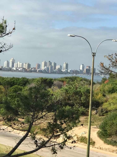 Imagen 6 de 14 de Departamento Frente Al Mar Con Vista Al Mar Desde Todos Los