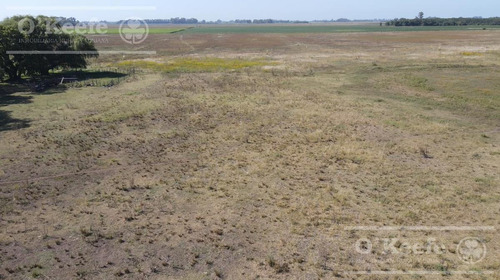 Imagen 8 de 18 de Chacra En Venta De 40 Has - En Saladillo Campo Mixto Con Mejoras