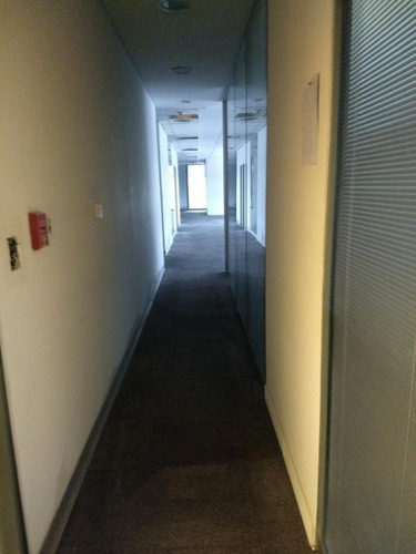 Imagen 6 de 11 de Oficina En Alquiler - Puerto Madero - 220 M2