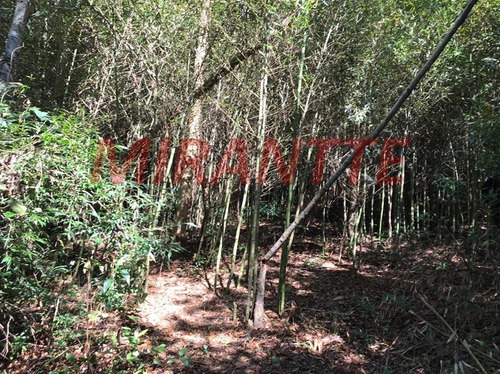 Imagem 2 de 4 de Terreno Em Serra Da Cantareira - Mairiporã, Sp - 359297