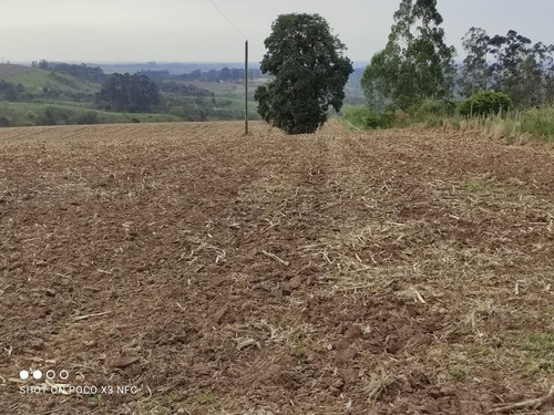 Imagem 6 de 11 de Sítio 8 Alqueires, Planta 6,5 Alqueires, Sem Benfeitorias, Água Corrente No Fundo Da Propiedade, 2,5km Do Asfalto - St00124 - 70141822