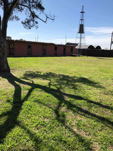 Imagen 9 de 14 de Lote Permuto Vendo Casa Con 8 Caballerizas Y Molino