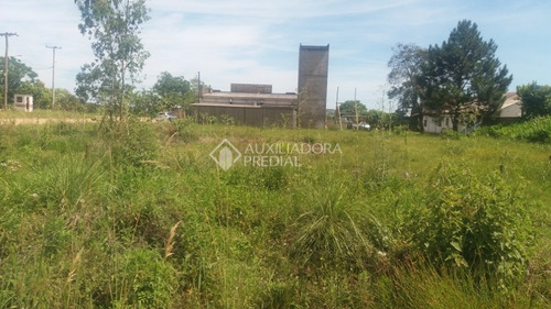 Imagem 9 de 11 de Terreno - Centro - Ref: 292928 - V-292928