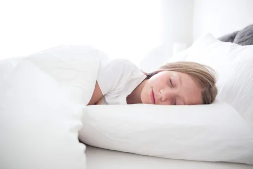 100% Algodon, A Prueba De Plumas, Protector De Almohada, Red