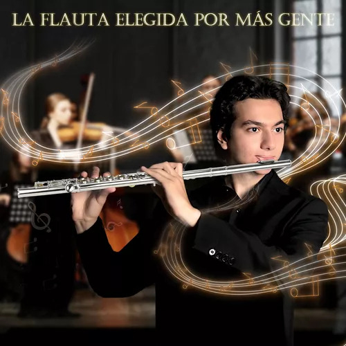 Flauta Transversal De 16 Llaves En Do Ideal Para Músicos Plateado