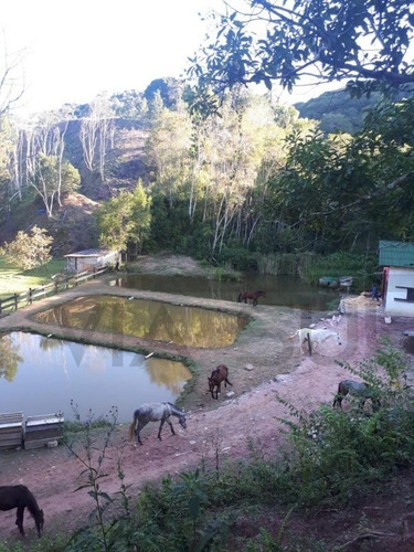 Imagem 10 de 13 de Chácara À Venda Em Juquitiba - 36 - 69200721