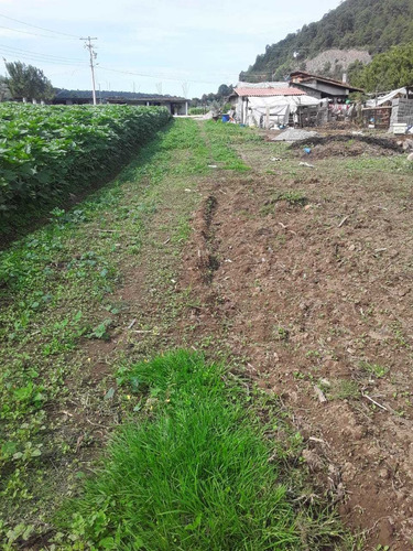Imagen 7 de 14 de Terrenos En Venta A 15min De Valle De Bravo - Buen Precio