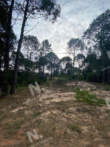 Imagen 4 de 4 de Oportunidad. Terreno En Venta En Club Del Lago, Punta Ballena. - Punta Ballena Club Del Lago