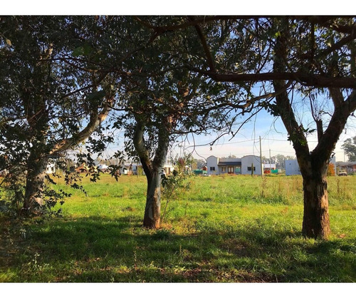 Imagen 3 de 5 de Vendo Lote De 20 X 50 En Coronel Brandsen U$s 23.000
