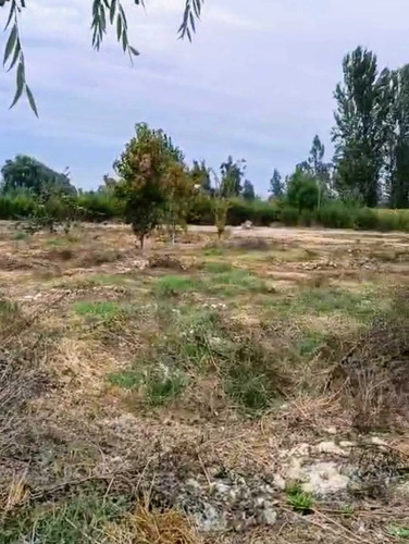 Excelente Terreno 3600 M2 Vi Región (177158)