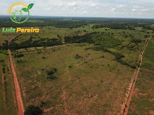 Imagem 9 de 15 de Fazenda À Venda Em Fátima - To-excelente P/ Lavoura, Plantio De Até 800 Hec - 1617