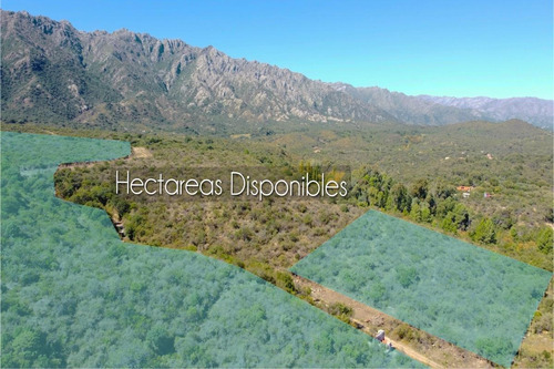 Imagen 1 de 24 de 5 Hectáreas 6 Lotes De 1000m2 Sobre Ruta Nº 1 - Cortadera