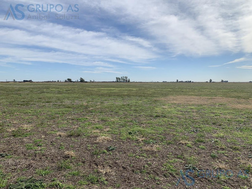 Imagen 17 de 25 de Excelente Campo Agricola De 62,73 Has.
