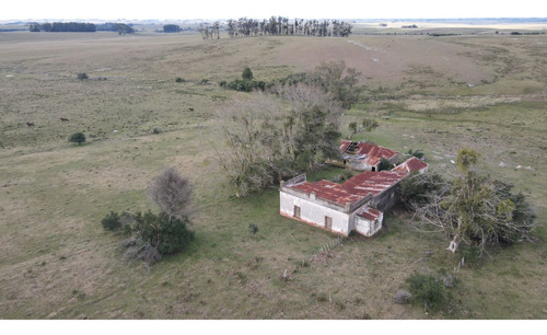 Campo Ganadero Forestal Lavalleja 370ha (ref: Atm-7129)