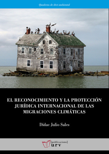 El Reconocimiento Y La Proteccion Juridica Internacional ...