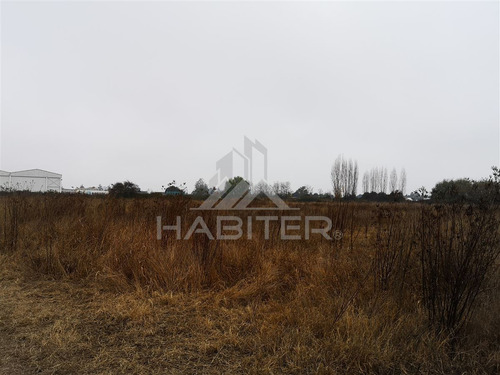 Sitio En Venta En Curicó