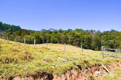 Imagem 2 de 16 de Sítio À Venda, 446000 M² Por R$ 850.000,00 - Zona Rural - Caldas/mg - Si0009