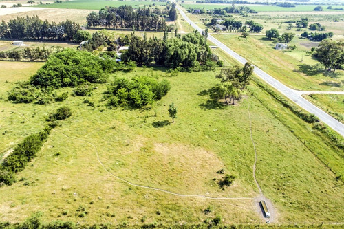 Chacras Venta 4,7 Has Residenciales-productivas Carmelo