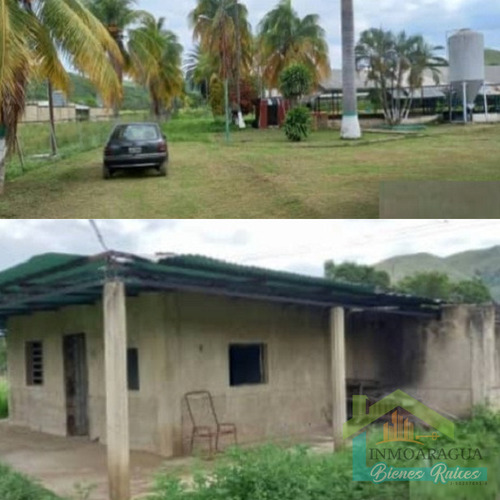 Granja Avícola En Venta/ San Francisco De Asís/ Yp1390