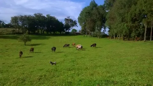 Piendamó, 23 Plazas Ganaderas Y/o Agrícolas.