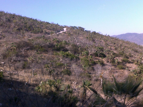 Terreno Rústico En Venta 398 Hectáreas En Chilpancingo Guerrero