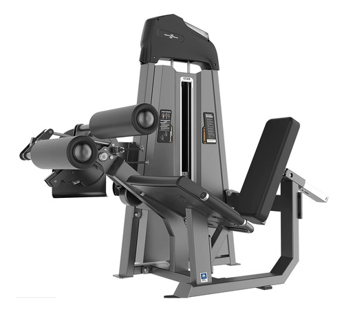 Máquina Flexo-extensión De Pierna Dual Pro Sport Fitness