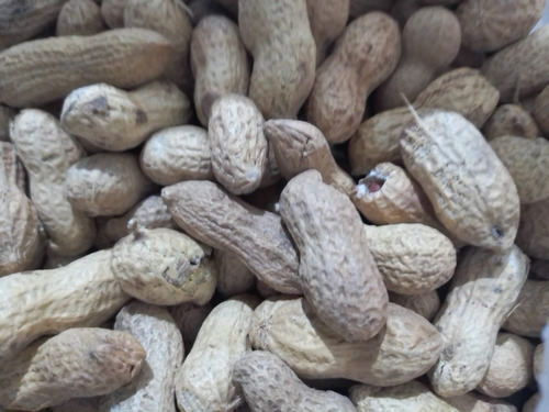 Cacahuate Con Cascara 1 Kg