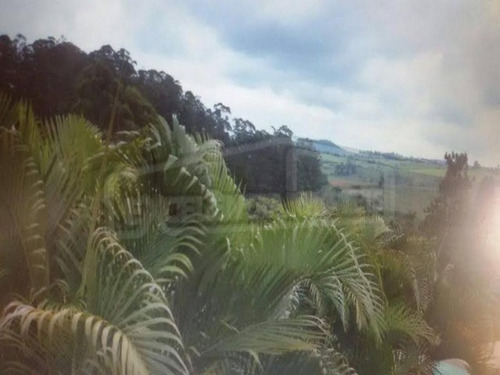 Imagem 19 de 20 de Chacara - Ch00151 - 69928169
