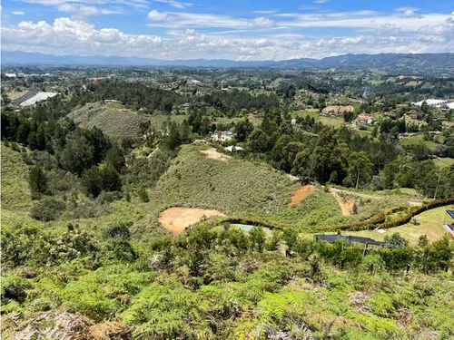 Rhbr-14483 (lote) (guarne)