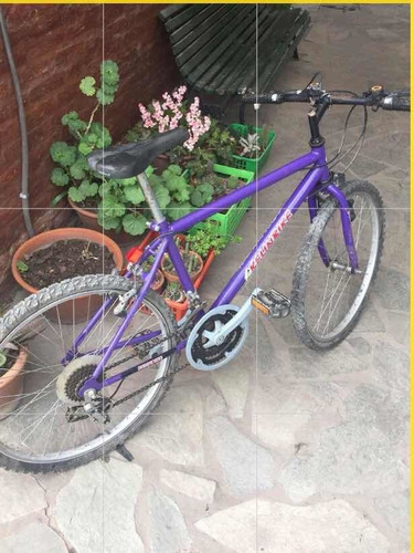 Bicicleta Mountain Bike. 18 Cambios. Rodado 24
