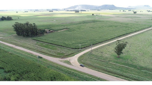 Imagen 27 de 30 de Quinta De 8 Has. A 1.800 Mts Ruta 226 - 100 % Agrícola