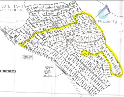 Parcela En Venta 5.000 Mt2 Con Rol Sii En Litueche