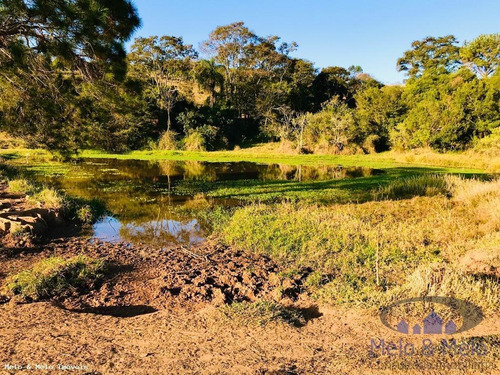 Imagem 3 de 14 de Terreno Para Venda Em Tuiuti, Mãe Dos Homens - 1871_2-1110530